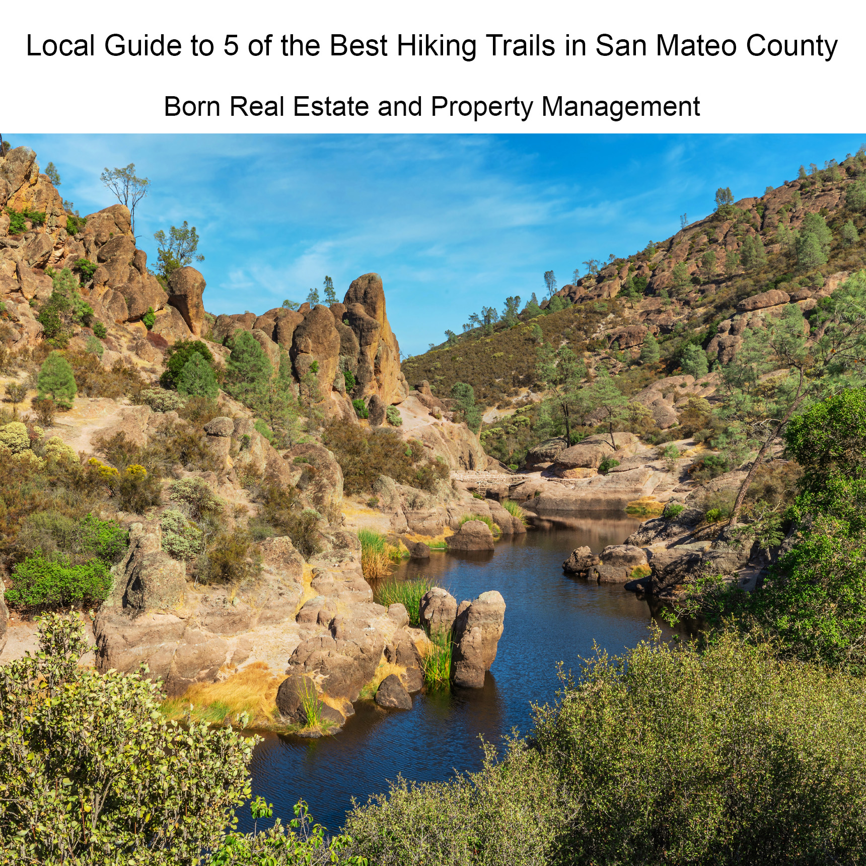 Local Guide to 6 of the Best Hiking Trails in San Mateo County and the San Francisco Peninsula